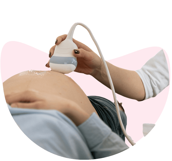 Ultrasonido Ecografía Obstetricia